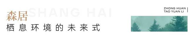 ✖️⤴️中环桃源里丨㊰霓虹淬炼作帛推窗抖落半亩液态桃花简史(图16)